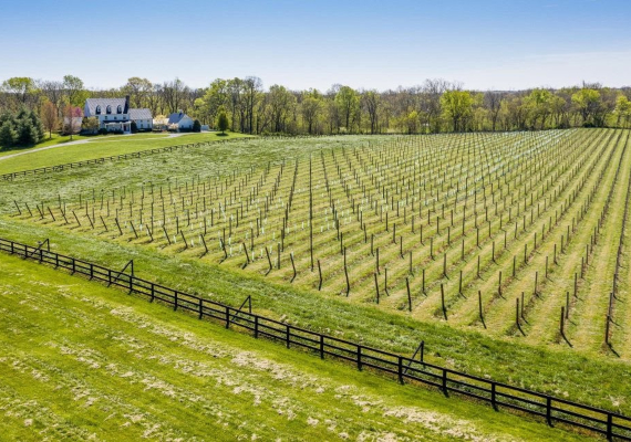 Social Activities Reimagined MAIN