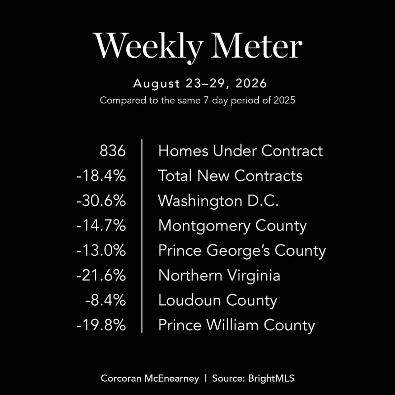 Weekly Meter 800x800